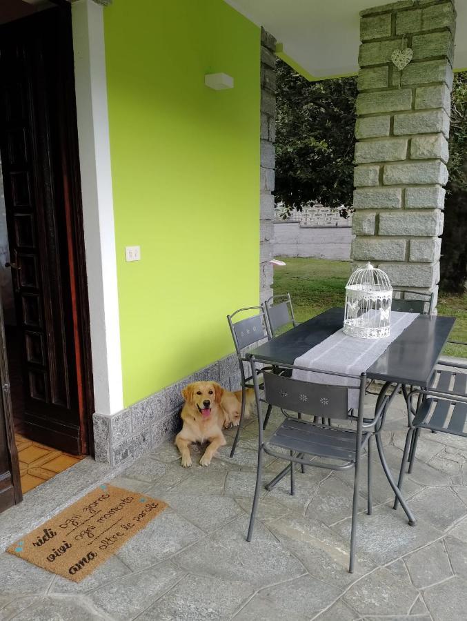 Bed and Breakfast Il Faggio Beura Exteriér fotografie